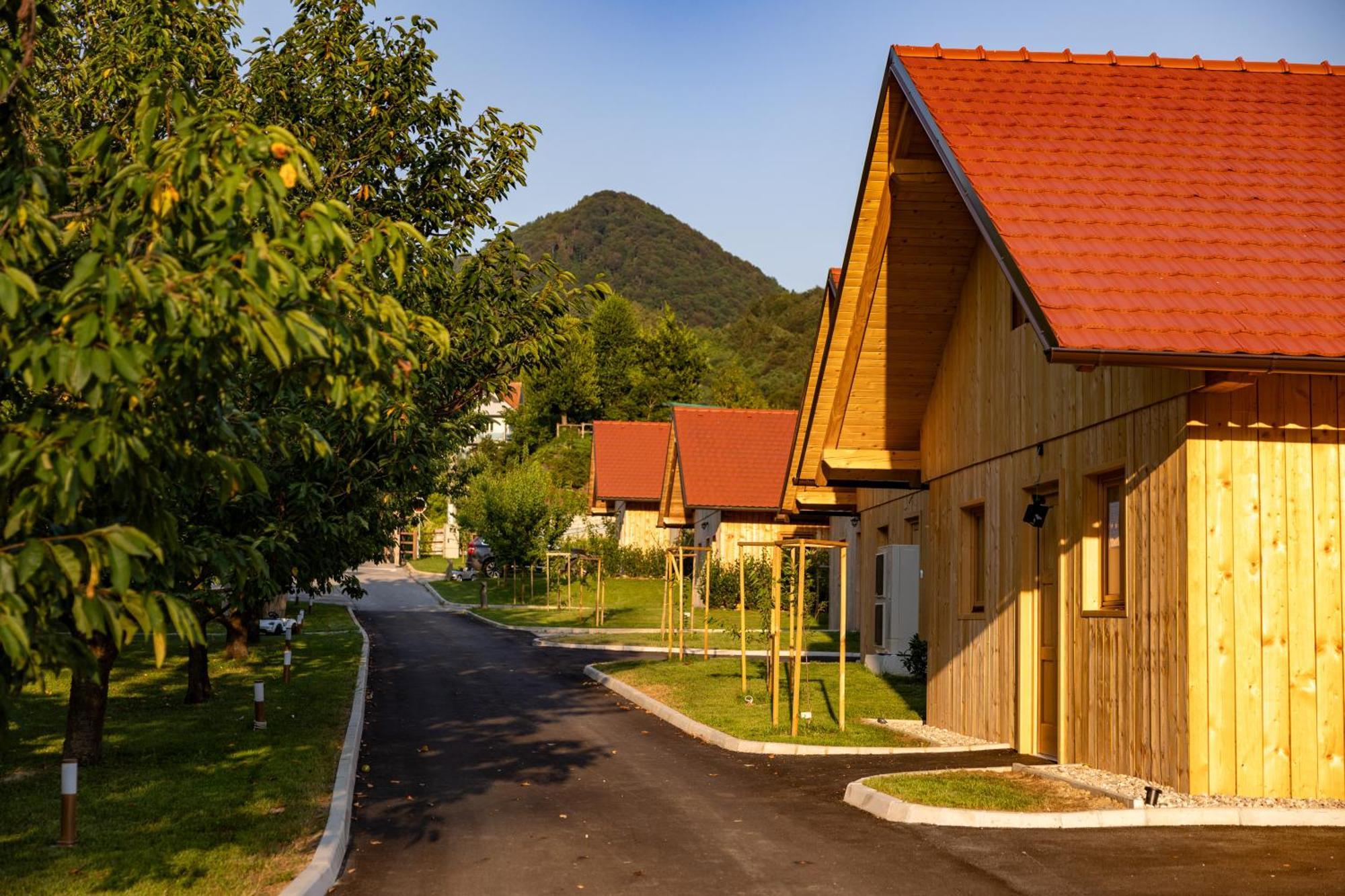 Martinova Izba - Family Bungalows Lasko Luaran gambar